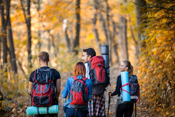 Wall Mural - friends with backpacks trekking in nature, walking through the woods, back view