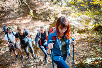 Wall Mural - friends trekking together in a forest