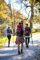 Wall Mural - authentic group of friends on tourist trip walking with backpacks and trekking sticks