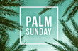 Palm Sunday Holiday Text Illustration with Palm Branches and White Square