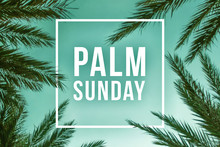 Palm Sunday Holiday Text Illustration With Palm Branches And White Square