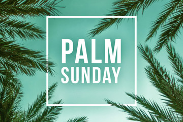Wall Mural - palm sunday holiday text illustration with palm branches and white square
