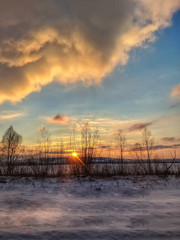 Wall Mural - Winter landscape with field and trees during the sunset