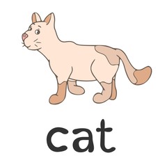 Children`s word card - english language: cat, pet, animal, line art, cartoon illustration, vector outline, learning, vocabulary, education