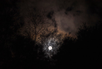 Wall Mural - full moon glow