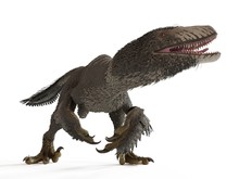 Illustration Of A Dakotaraptor