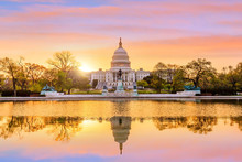 Capitol Building In Washington DC
