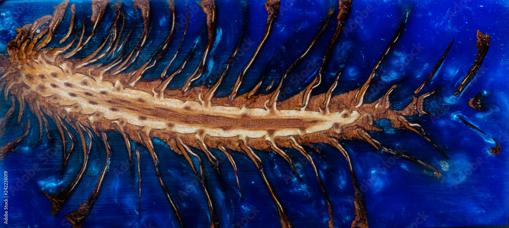 casting epoxy resin Stabilizing Pinecone red blue abstract art ...