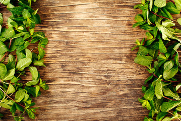 Canvas Print - Fresh mint leafs on wooden background