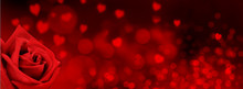 Red Rose On Hearts Shaped And Red Blur  Lights Background In Panoramic  Size