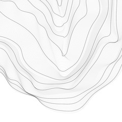 Poster - Monochrome abstract contour line illustration