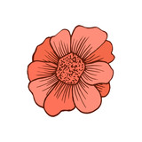 Fototapeta  - Rose icon in hand drawn style
