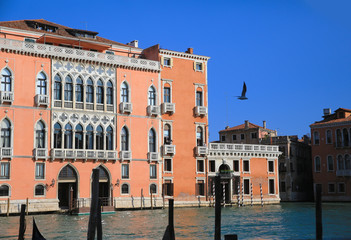 Wall Mural - Buildings from Venice, Italy