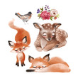 Set of cute forest, woodland baby animals - deer, foxes, bird and floral arrangement, bouquet, flowers composition