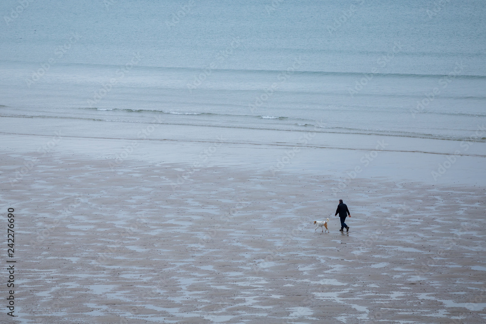 Photo Art Print Homme Se Promenant Seul Avec Son Chien Sur