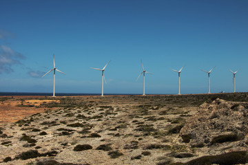 Aruba pale eoliche per energia alternativa, Caraibi