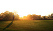 © sittinan - Golfer is chipping golf ball on the green for practice , morning time