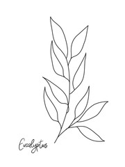 Wall Mural - simple eucalyptus leaves