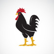 Vector of rooster or cock  design on white background., Animal farm. Easy editable layered vector illustration.