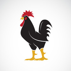 Wall Mural - Vector of rooster or cock  design on white background., Animal farm. Easy editable layered vector illustration.