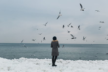 Girl Feeding Seagulls On The Frozen Bank Of The Winter Sea