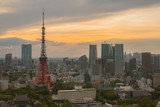 Fototapeta Boho - Tokyo tower in the tokyo city, Japan at evening.