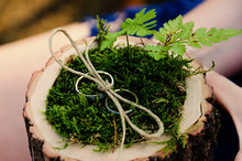 Gold Wedding Rings Tied With Twine On A Moss Cushion With A Leaf Of Fern