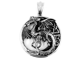 Wall Mural - Dragon Pendant Jewelry. Stainless steel