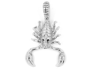 Wall Mural - Jewelry Pendant Scorpion. Stainless steel