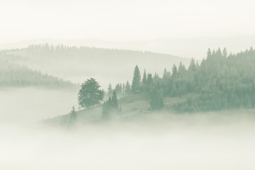 Naklejka na meble Góry i Las w porannej mgle