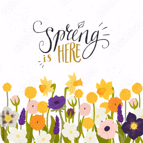 Spring is here. Spring is here стих. Спринг сонг. Набор для скрапбукинга весна пасха. Spring is here.