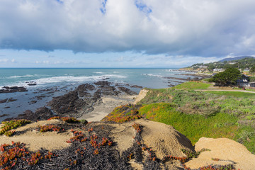 Wall Mural - View towards Fitzgerald Marine Reserve at low tide from the path on the bluffs, Moss Beach, California