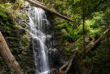 Waterfall In Big Basin State Park, San Francisco Bay Area, California