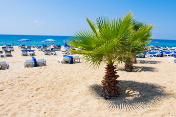 Fototapete - Alanya Kleopatra beach in summer resort in Turkey