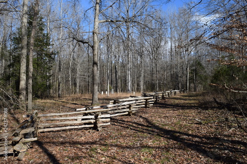 Fotomural Davis Bridge Battlefield in Pocahontas Tennessee