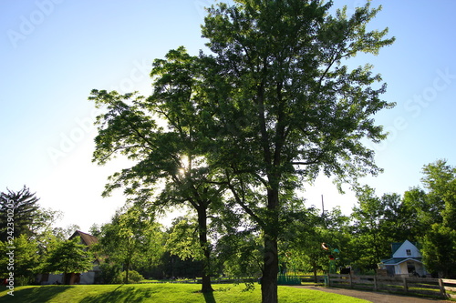 Inniswood Metro Gardens Trees Westerville Ohio Buy This Stock