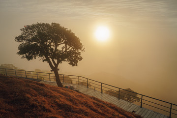 The scenery of the sunrise with fog. Location: Pui Kho mountain in Northern Thailand