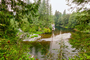 veiw of the green river from up above on cliff with forest 