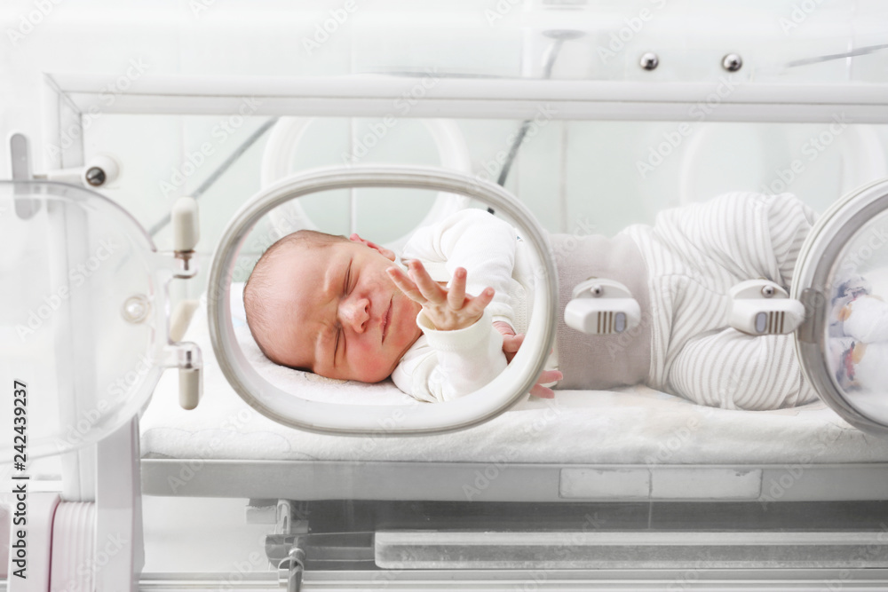 Nowonarodzone dziecko w inkubatorze na oddziale szpitalnym. - obrazy, fototapety, plakaty 