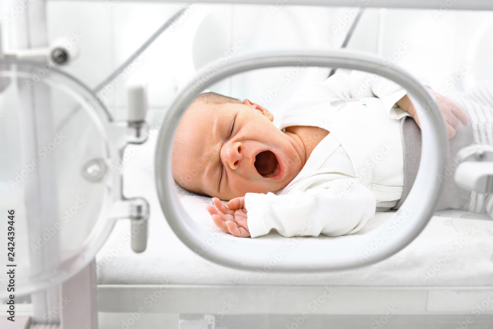Noworodek w inkubatorze.  Nowonarodzone dziecko w inkubatorze na oddziale szpitalnym. - obrazy, fototapety, plakaty 