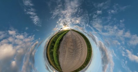 Wall Mural - little planet transformation with curvature of space. full flyby panorama landscape in forest in sun