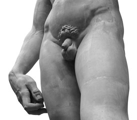 Wall Mural - The statue of David by italian artist Michelangelo