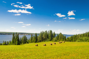 Wall Mural - beautiful summer landscape with sloping meadow, hay, forest and river with blue sky with clouds.