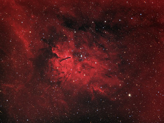Wall Mural - emission nebula sh2-86 and star open cluster ngc 6823 in the constellation vulpecula. this hydrogen 