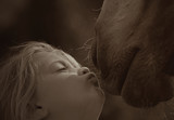 Fototapeta  - Girl kissing a horse close up