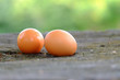 © Oradige59 - Two chicken eggs on old wood bench in the garden with green nature and evening light