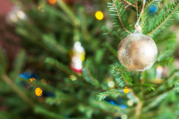 Canvas Print - glass ornaments on twigs of live Christmas Tree