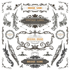 Wall Mural - vintage decorations curl elements.classical calligraphic ornaments,frames,labels