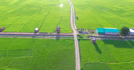 Wall Mural - Image of beautiful Terraced rice field in water season and Irrigation from drone,Top view of rices paddy field,nan,thailand