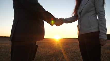 businessman and young business woman made deal, pass black briefcase to each other and shake hands at sunset in field. close-up